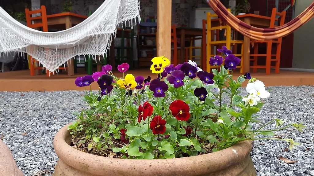Joinville Hostel & Pousada אורחן